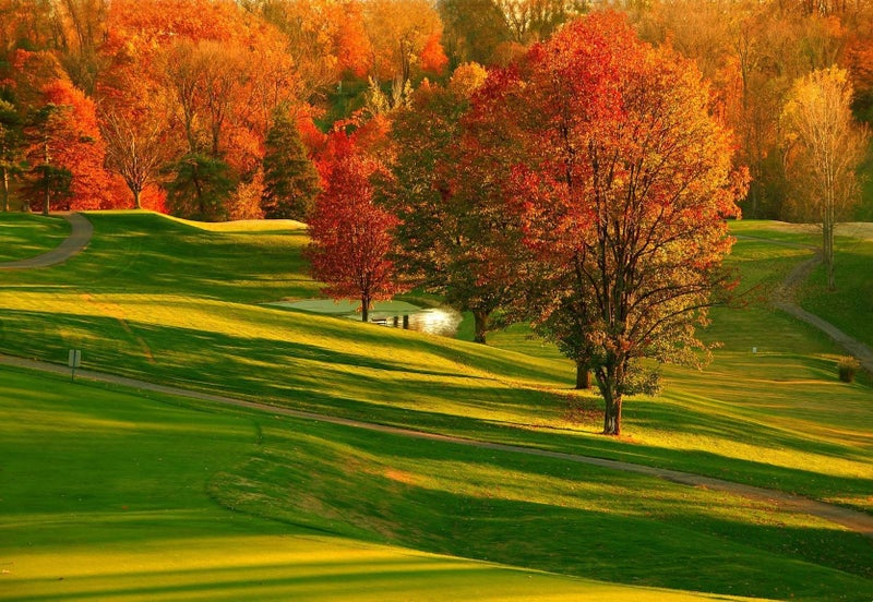 Greenbrier Real Estate Lexington, KY Homes for Sale